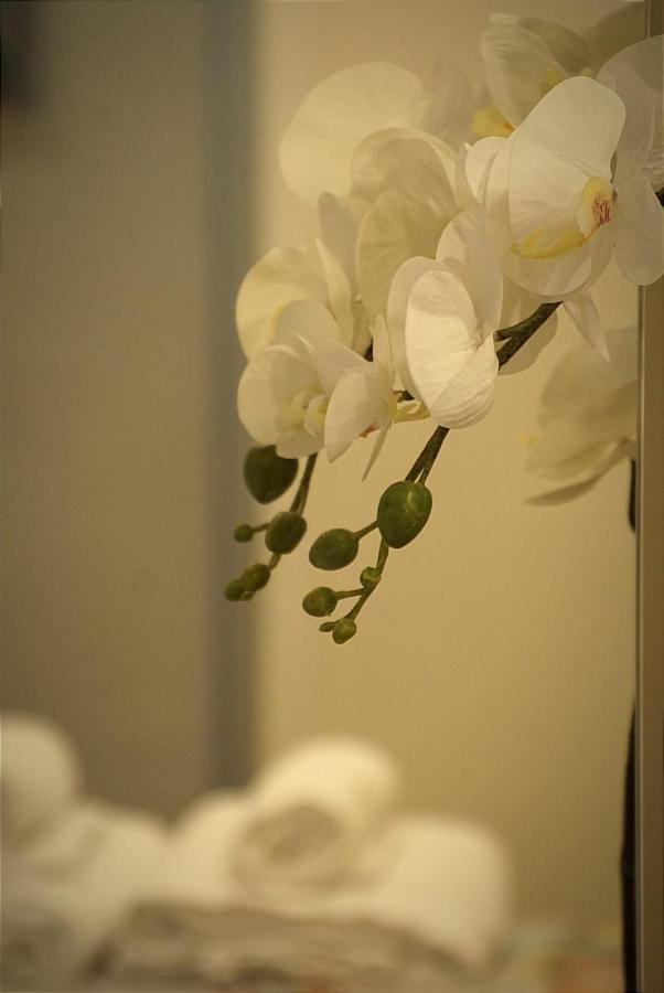 Apartamento Paula บายาโดลิด ภายนอก รูปภาพ