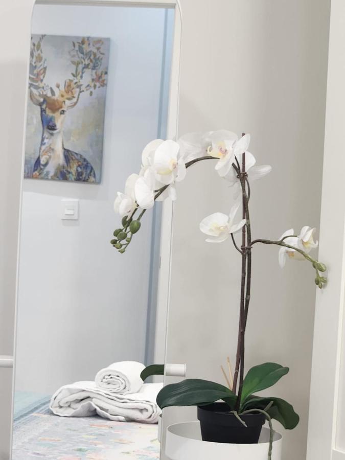 Apartamento Paula บายาโดลิด ภายนอก รูปภาพ